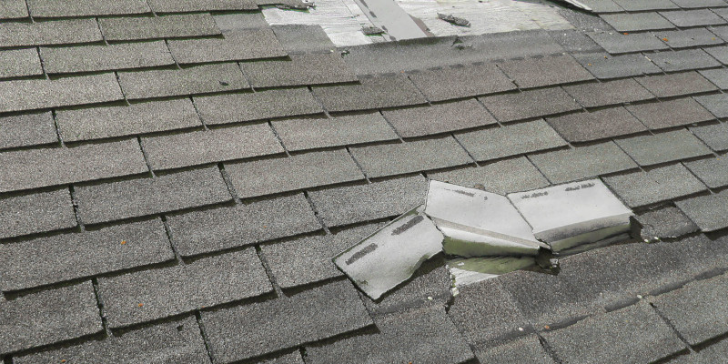 Roof Repair in Fort Mill, South Carolina