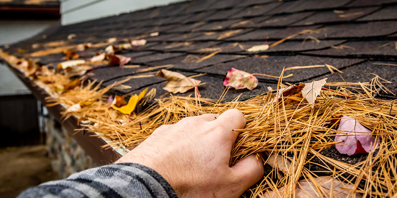 Why Gutter Cleaning is Important