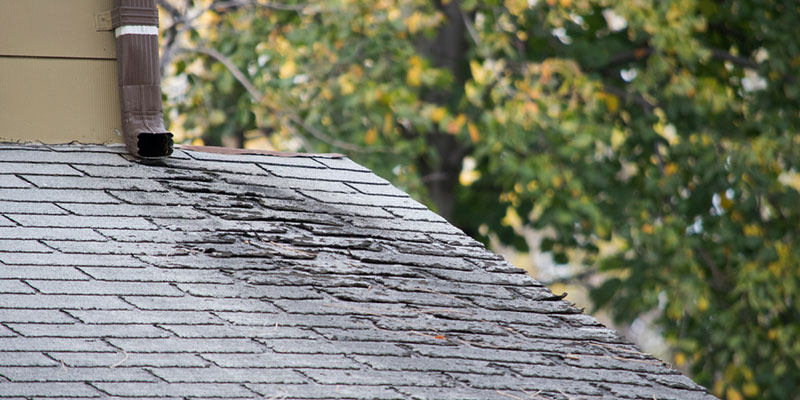 How to Tell if You Need Roof Repair Services