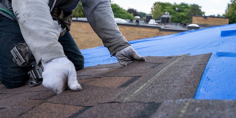 Do You Need Roof Repair or Replacement?