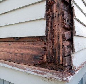 How to Tell if You Need Siding Repair