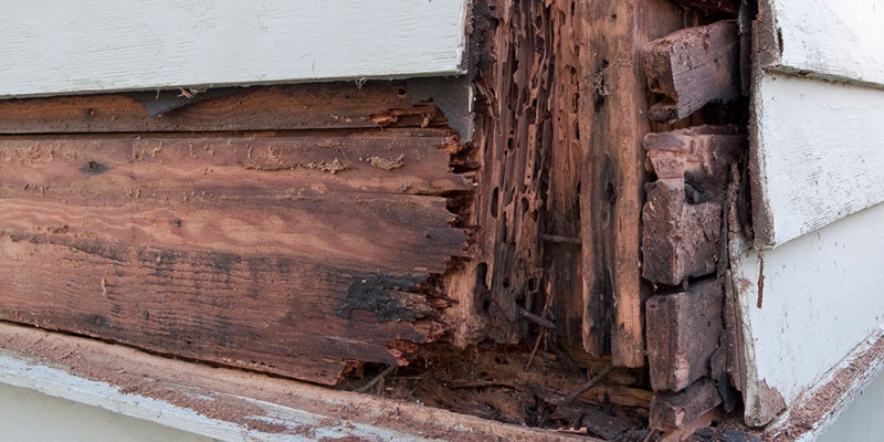 How to Tell if You Need Siding Repair