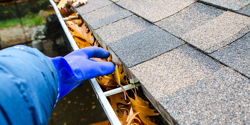 How Often Should You Clean Your Gutters? 