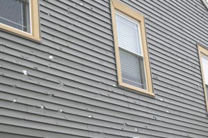 How to Deal with Siding Damage