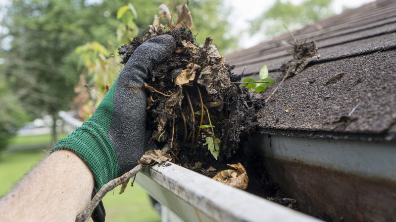 Gutter Cleaning Done Right