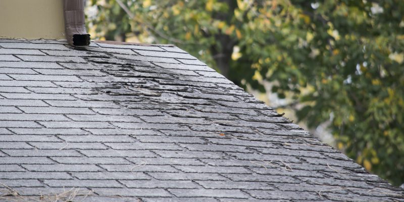 What Is the Purpose of Different Types of Roofs?