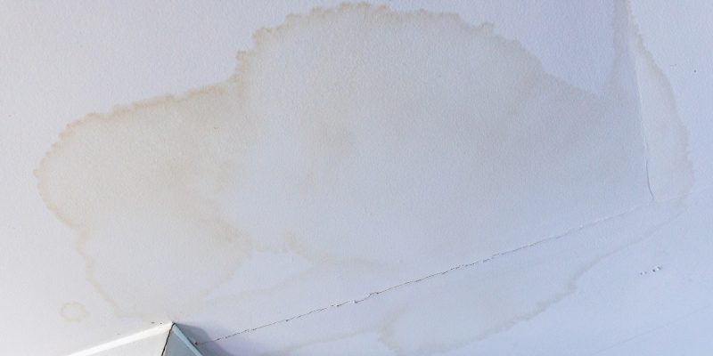 Four Early Signs Your Home Could Have a Roof Leak
